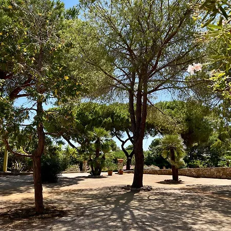 Dimora Il Funghetto - Capo Perla *