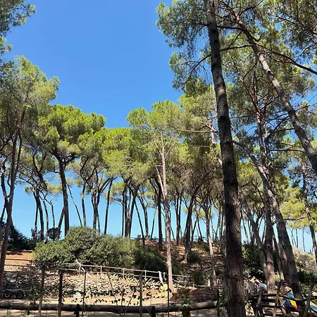 Appartement Dimora Il Funghetto - Capo Perla *