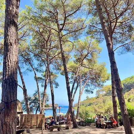 Dimora Il Funghetto - Capo Perla *